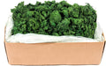 Super Moss (21499 Reindeer Moss Preserved, Forest Green, 10lbs