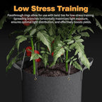 Patigrow Self-Watering Grow Bags, 5-Pack 5 Gallon 420G Thick Nonwoven Fabric Pots with Reinforced Handles and Multi-Purpose Rings, for Low Stress Plant Training Fruits, Vegetables,and Flowers