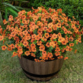 Lnoicy 20 Bundles Artificial Flowers for Outdoor Fake Plants for Spring Decoration,Faux Eucalyptus Flowers for Planter UV Resistant Lifelike for Home Porch Garden（Orange）
