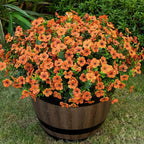 Lnoicy 20 Bundles Artificial Flowers for Outdoor Fake Plants for Spring Decoration,Faux Eucalyptus Flowers for Planter UV Resistant Lifelike for Home Porch Garden（Orange）