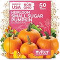 KVITER 50 Sugar Pumpkin Seeds Organic (Cucurbita Pepo) – Small Pumpkin Heirloom Seed, Sweet Fine-Grained Flesh for Canning & Pies – Vegetable Seeds for Planting in Outdoor Garden