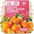 KVITER 50 Sugar Pumpkin Seeds Organic (Cucurbita Pepo) – Small Pumpkin Heirloom Seed, Sweet Fine-Grained Flesh for Canning & Pies – Vegetable Seeds for Planting in Outdoor Garden