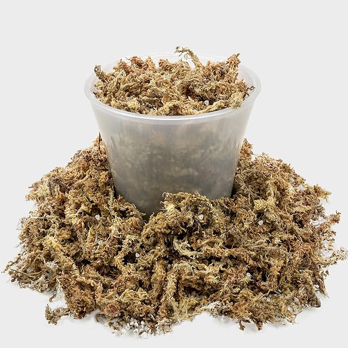 Gardenera Sphagnum Moss Potting Mix for Carnivorous Plants, Moss and Perlite Blend for Potting Venus Fly Traps, Sarracenia, Pitcher Plants - Sphagnum Moss & Perlite - Made in USA - 20 Quart