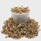 Gardenera Sphagnum Moss Potting Mix for Carnivorous Plants, Moss and Perlite Blend for Potting Venus Fly Traps, Sarracenia, Pitcher Plants - Sphagnum Moss & Perlite - Made in USA - 20 Quart