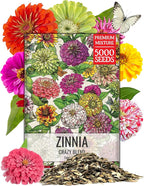 Seed Needs Crazy Zinnia Seeds 15+ Varieties Specialty Blend | 5,000+ Seeds Zinnia Elegans Open Pollinated | Includes California Giants, Candystripe & State Fair Species | Bulk