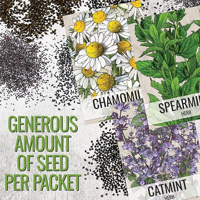 Seed Needs Herb Seeds for Planting a Collection of 6 Medicinal Herbs - Non-GMO Heirloom & Untreated Tea & Infusion Varieties (Chamomile, Lemon Balm, Spearmint, Anise Hyssop, Lemon Mint & Catmint)