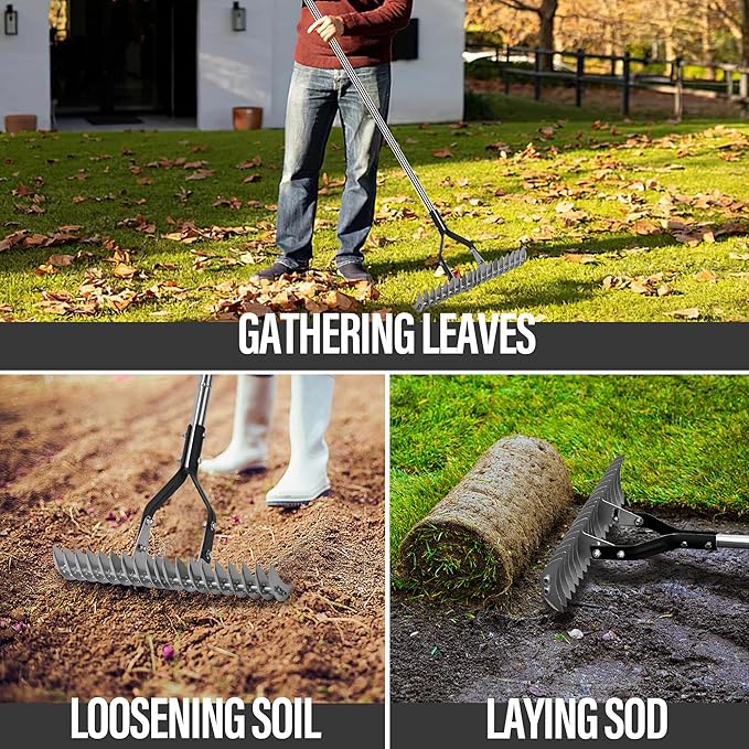 YEELOR Thatch Rake for Lawn, Easily Removes Dead Grass & Thatch, 58.5-Inch Long Handle for Less Bending, Heavy Duty Steel for Yard & Garden