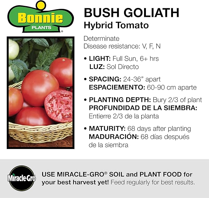 Bonnie Plants Bush Goliath Tomato, Live Plant, 19.3 oz., 4-Pack
