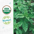 Back to The Roots 100% Organic Heirloom Seeds - Sweet Basil Value Pack (600mg Total)