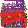 KVITER 150 Mexican Sunflower Seeds For Planting (Tithonia rotundifolia) – Tithonia Seed Packets Bulk, Red Sunflower Heirloom Seed Orange Sunflowers – Flower Seeds Garden Beds and Outdoor Flower Garden