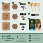 Garden Republic Bonsai Tree Kit - Grow 3 Mini Bonsai Trees, Indoor Plant Growing - Starter Kit with Seeds, Soil, Planters & Shears, Gardening Gifts for Women, Fathers Day Gardening Gifts