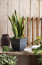 The HC Companies 8 Inch Eclipse Square Planter with Saucer - Indoor Outdoor Plant Pot for Flowers, Vegetables, and Herbs, Slate Blue (Pack of 2)