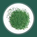 Pennington Smart Seed Sun and Shade Grass Mix 3 lb