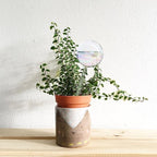 4 Pcs Iridescent Glass Plant Watering Globes - 9 Inch Self Watering Planter Insert | Plant Watering Devices | Plant Watering Bulbs for Indoor and Outdoor Plants Accessories.
