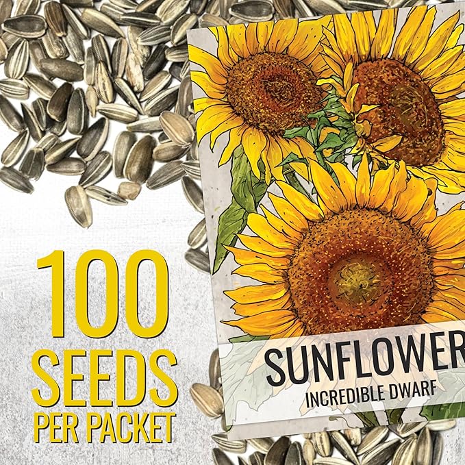 Seed Needs Dwarf Sunflower Seeds for Planting Incredible Sunflowers - Heirloom & Open Pollinated Flowers to Plant an Outdoor Wildflower Garden to Attract Beneficial Pollinators (1 Pack)