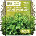 KVITER 700 Italian Giant Parsley Seeds (Petroselinum Crispum) - Italian Flat Leaf Parsley, High Yield, Non GMO Seed Packets - Heirloom Herb Seeds, Culinary Herb for Indoor & Outdoor Garden