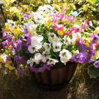 Artificial Flowers for Outdoor, UV Resistant Fake Silk Pansies Flowers, Realistic Faux Plants for Outside Indoor Porch Patio Window Box Planter Home Decor (16, Yellow)