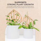 Treleaf Peptrella Watermelon Peperomia Inspired Wooden Trellis – Petite Size 9" Indoor Plant Support for Hoyas and Climbing Plants – Decorative Houseplant Trellis and Wooden Plant Stake