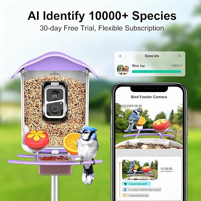 birdsnap® PAV-Bird Feeder with Camera,2K HD with 64GB Card, AI Identify Smart Bird House Cam Solar Panel,Live Stream,Motion Detection,Auto Record Video for Backyard Outdoors,Ideal Gift for Bird Lover