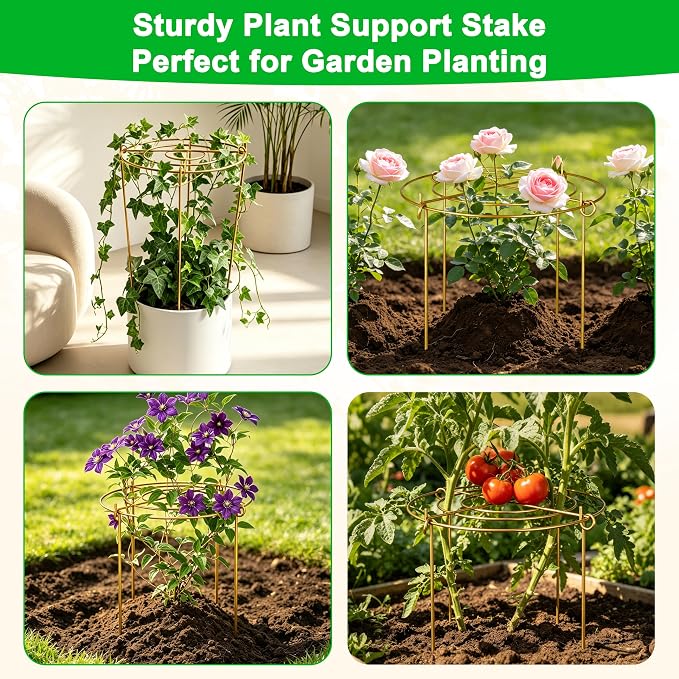 6 Pack Peony Cages and Supports, 12'' x 20'' Metal Removable Grid Flower Support Cage Set, 4-Leg Outdoor Plant Stake for Garden Peonies Tomato Hydrangea Strawberry (Gold)