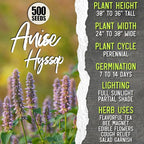 Seed Needs Herb Seeds for Planting a Collection of 6 Medicinal Herbs - Non-GMO Heirloom & Untreated Tea & Infusion Varieties (Chamomile, Lemon Balm, Spearmint, Anise Hyssop, Lemon Mint & Catmint)