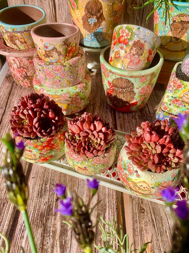 Echeveria Pink Rubby Succulent Kit - with Plastic Pot, 1 Head 2" Live Plant, Compressed Soil & Guide, for Garden Indoor Office Desk (1, Echeveria Pink Rubby)