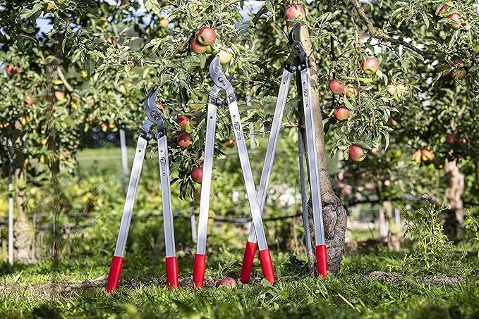 FELCO F221-80 Swiss Made Loppers for Gardening – 32" Lightweight Precision Loppers for Tree Trimming | Tree Branch Cutters | Tree Trimmer Tool with Curved Bypass Blade | I-Beam Handles | Orchard Reach