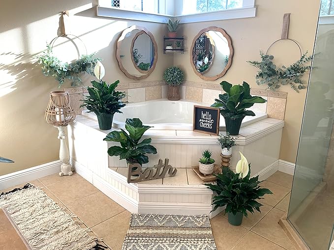 Peace Lily Plant-Friendship Foliage's Family Farm Grown Quality Live Indoor Spathiphyllum (6" Pot)