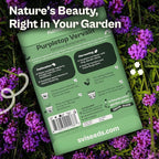 SVI 5500 Purpletop Vervain Seeds (Verbena Bonariensis) - Tall Verbena, Purple Blooms, Pollinator Magnet, Perrenial Seed in Seed Packets - Flower Seeds for Home Garden, Borders, Outdoor Flower Beds