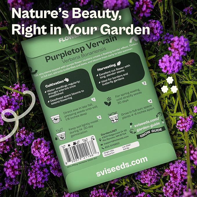 SVI 5500 Purpletop Vervain Seeds (Verbena Bonariensis) - Tall Verbena, Purple Blooms, Pollinator Magnet, Perrenial Seed in Seed Packets - Flower Seeds for Home Garden, Borders, Outdoor Flower Beds