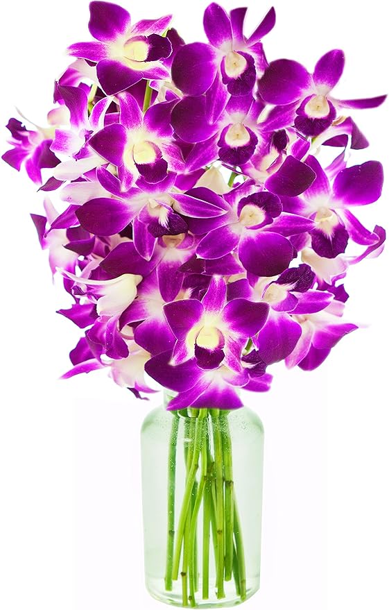 KaBloom - The Ulitmate Purple Orchid Bouquet with Vase - Fresh Flowers for Birthday, Valentine's & Mother's Day