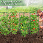 PAMASE Tomato Cages for Garden - 45x14.5x14.5in Square Tomato Plant Support Pole, Heavy Duty Steel Plant Tower Stakes Cucumber Trellis for Climbing Vegetable Flowers Fruits, 4 Pack