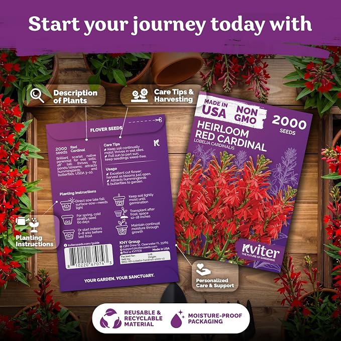 KVITER 2000 Red Cardinal Flower Seeds (Lobelia cardinalis) – Lobelia Garden Seeds for Planting, Cardinal Perennial Flower Seed Packets – Native Wildflower Plant for Outdoor Garden, Containers