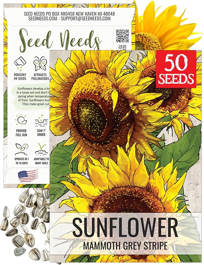 Seed Needs Mammoth Grey Stripe Sunflower Seeds for Planting - Heirloom & Open Pollinated Flower Seed to Plant an Outdoor Butterfly Garden (1 Pack)