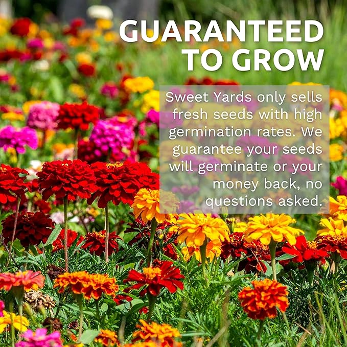 Bulk Wildflower Seeds Butterfly and Humming Bird Mix - 1/4 Pound Bag - Over 30,000 Open Pollinated Annual and Perennial Seeds