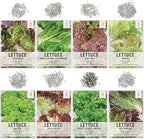 Seed Needs Lettuce Seeds Variety Pack for Planting a Collection of 8 Individual Varieties - Packets Includes Romaine, Iceberg, Oakleaf, Lollo Rosso and More