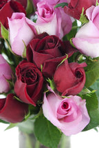 KaBloom - Long Stemmed Red and Pink Roses (Two Dozen) with Vase - Fresh Flowers for Birthday, Valentine's & Mother's Day
