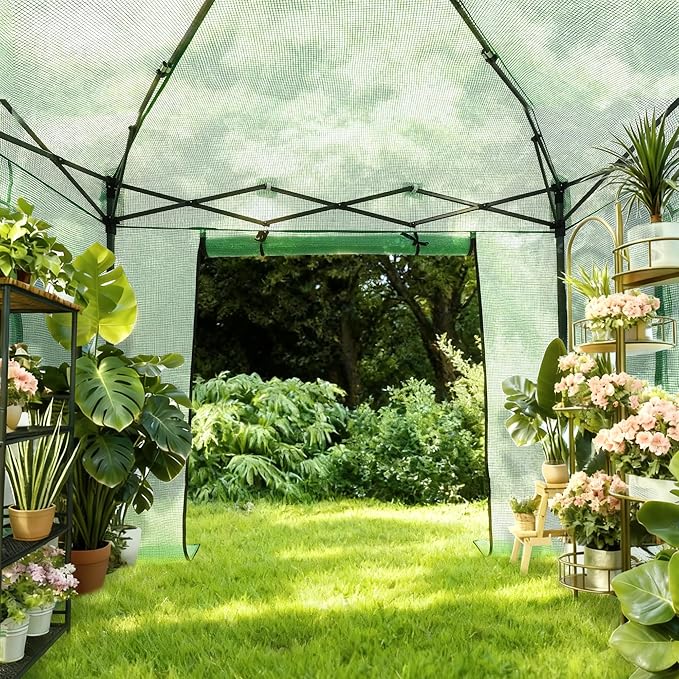 GDY 8X8FT Instant Pop-up Greenhouse, Walk-in Plant Gardening Green House with PE Cover/Roll-Up Zipper Doors/Side Windows for Indoor, Backyard and Outside, Green/Clear.