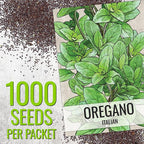 Seed Needs Thyme & Oregano Seeds for Planting Fresh Kitchen Herbs - Non-GMO Heirloom & Untreated Perennial Herb Seed to Plant a Culinary Garden Indoors or Outdoors (2 Pack Duo)