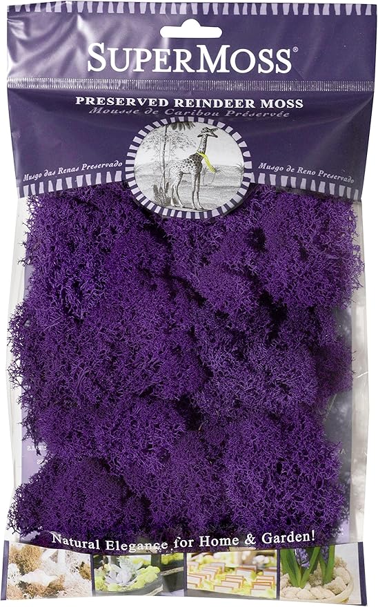 SuperMoss (25124) Reindeer Moss Preserved, Appx. 2oz, Purple