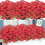 Ouddy Decor 12 Bundles Artificial Flowers for Decorations Fake Silk Plants for Outdoor Indoor UV Resistant Faux Plastic Greenery Stems for Window Box Garden Porch Home Spring Decoration, Red