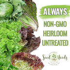 Seed Needs Lettuce Seeds Variety Pack for Planting a Collection of 14 Individual Varieties - Packets Includes Romaine, Iceberg, Oakleaf, Lollo Rosso and More