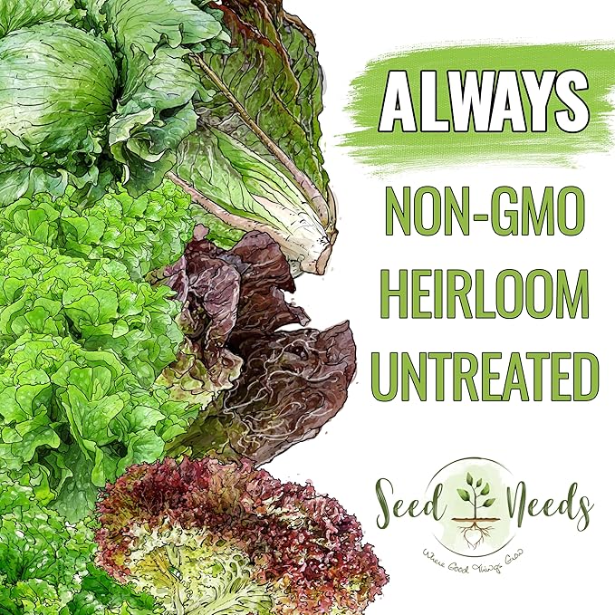 Seed Needs Lettuce Seeds Variety Pack for Planting a Collection of 14 Individual Varieties - Packets Includes Romaine, Iceberg, Oakleaf, Lollo Rosso and More