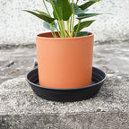 LWALRS 4 Packs 8 Inches Plant Saucer Drip Trays, Round Plastic Plant Pot Saucers Flower Pot Tray for Indoor Outdoor
