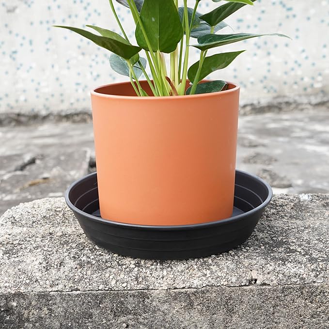 LWALRS 4 Packs 6 Inches Plant Saucer Drip Trays, Round Plastic Plant Pot Saucers Flower Pot Tray for Indoor Outdoor