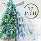 5 Kinds Eucalyptus & Lavender Stems - 17" Natural Fresh Hanging Real Leaves Shower & Home Decor Aromatic Plant (1 Pack Set - 17 inch)