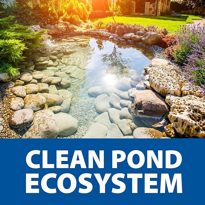 The Pond Guy Seasonal Defense, Spring & Fall Beneficial Bacteria, Barley & Enzymes, Cold Water Pond Sludge & Scum Treatment, Fish & Plant Safe, 96 Packets
