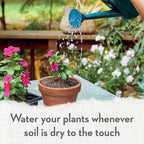Whitney Farms Organic Potting Soil - Natural Indoor and Outdoor Container Mix, Organic Potting Soil for Vegetables, Herbs and Flowers, Feeds Plants up to 2 Months, 8 qt.