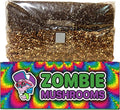 All‑in‑One Mushroom Grow Bag Kit – Sterilized Grain & CVG Substrate with Self‑Healing Injection Port – Beginner‑Friendly Mushroom Growing Kit to Grow Mushrooms at Home, 5 lb Mega Bag (1 Bag)