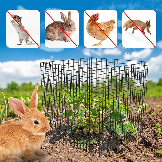 UNIFAMILY 20 Pcs Plant Protectors from Animals, 5 Packs Metal Wire Plant Cage, Garden Protector Cage from Deer, Mesh Garden Protector from Rabbits, Chicken Wire Plant Covers from Animals